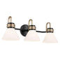 Kichler Farum 26 in 3-Light Bathroom Vanity Light Fixture