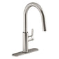 Kohler R38473-LVS Rodean Kitchen Faucet Pull Down Stainless Steel Kit