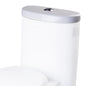 EAGO R-309LID Replacement Ceramic Toilet Lid for TB309, White