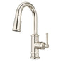 Pfister, GT572TDD, Port Haven Single Hole Pull Down Faucet Polished Nickel